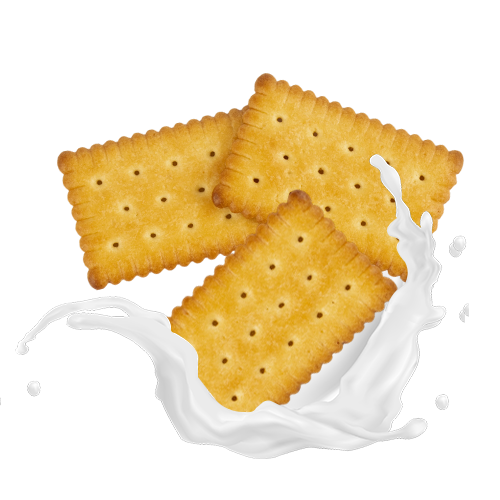 Biscoitos de leite sabor leite